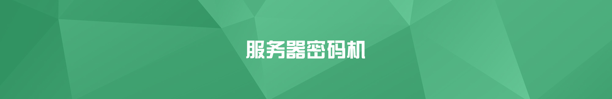 服務(wù)器密碼機(jī)